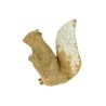 DECO ECUREUIL RESINE H16.5 ASS. /2P