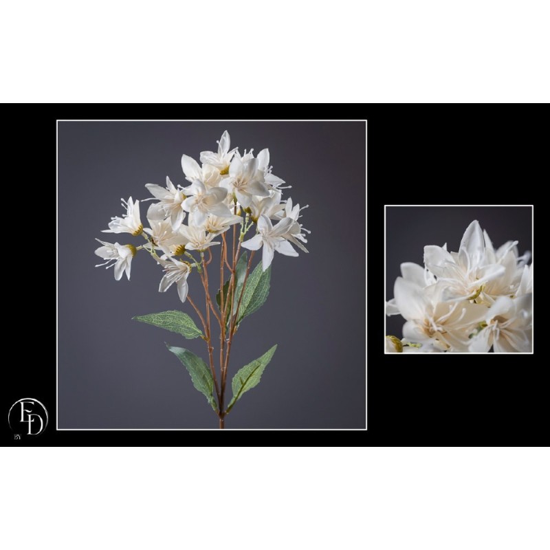 FLEUR LYS DES INCAS H72CM les 12P