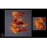 FEUILLE ERABLE TIGE H70CM les 12P