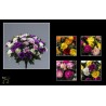 FL.POMPONETTE 9 tiges H36CM les 12P