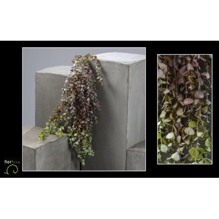 FEUILLE EUCALYPTUS PANACHE 90CM les 6P
