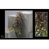 FEUILLE EUCALYPTUS PANACHE 90CM les 6P