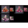 FLEURS ZINNIA CYMBIDIUM H62CM les 6P