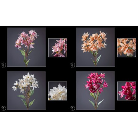 FLEUR LYS DES INCAS H72CM les 12P