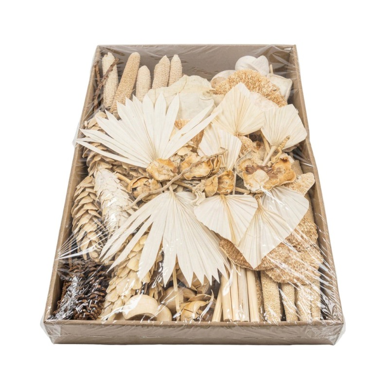 EXOTIQUE assortiment SECHE / BOITE (125-175 p)