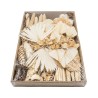 EXOTIQUE assortiment SECHE / BOITE (125-175 p)