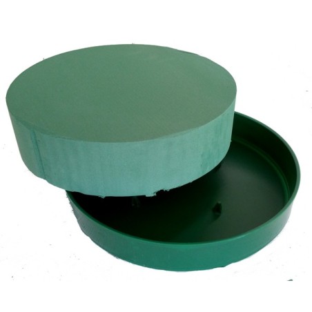 TECAR MOUSSE TARTE 030CM /2P