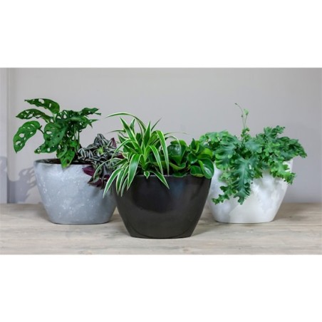 JARDINIERE ORCHIDEE  012cm /2P