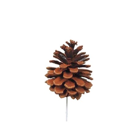 PIQUE POMME DE PIN 06CM les 12P