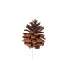 PIQUE POMME DE PIN 06CM les 12P