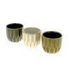C.POT MINI VERT 07.5 H06CM les 12P