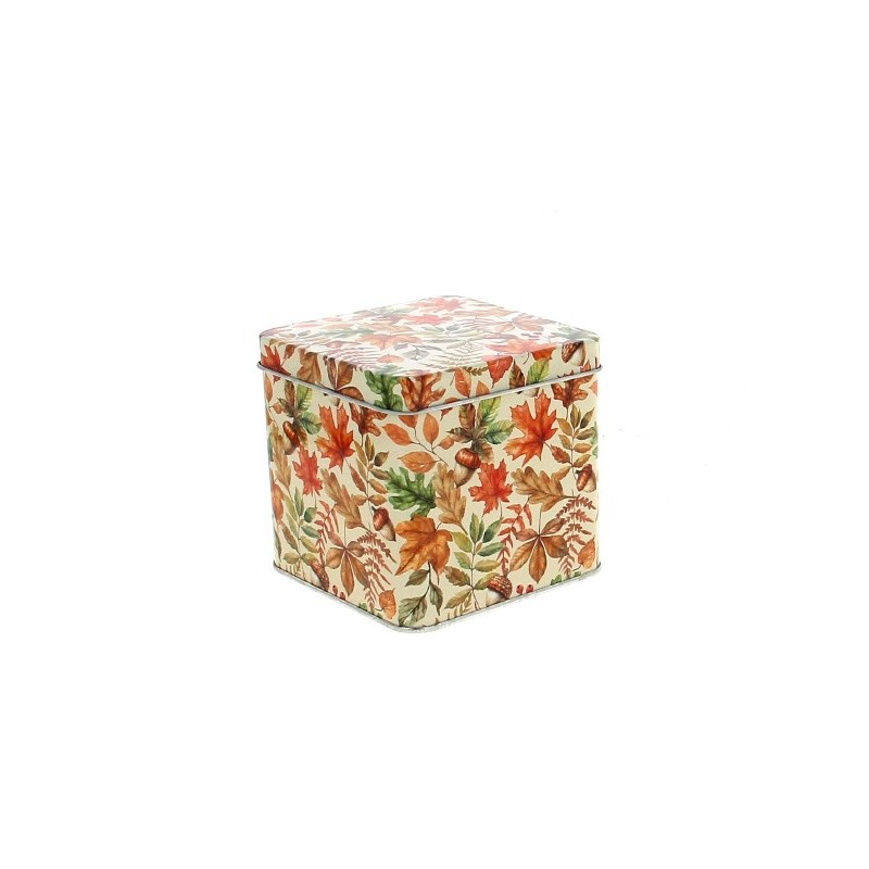 ZINC-BOITE AUTOMNE 10.5X10.5 H10CM les 6P
