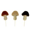 CHAMPIGNON BOIS & FOURRURE les 12P