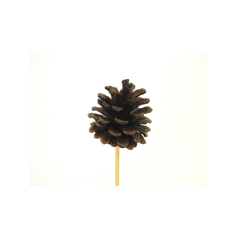 PIQUE POMME DE PIN 7CM les 12P