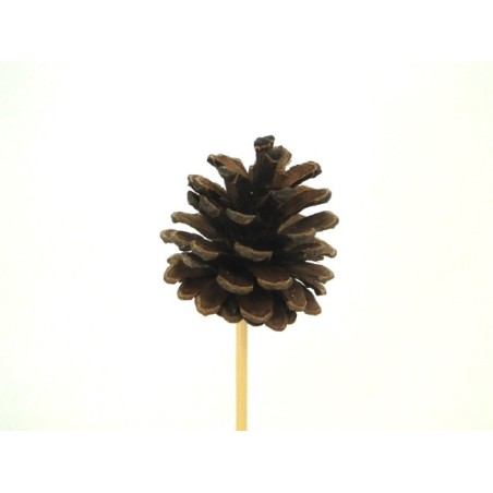 PIQUE POMME DE PIN 7CM les 12P