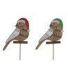 OISEAU BOIS rouge et vert PIQUE les 12P