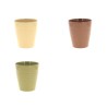 C.POT ORCHIDEE 013 H14CM 