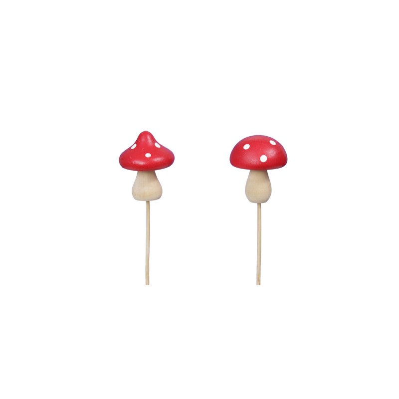 CHAMPIGNON BOIS POIS BLANC les 10P