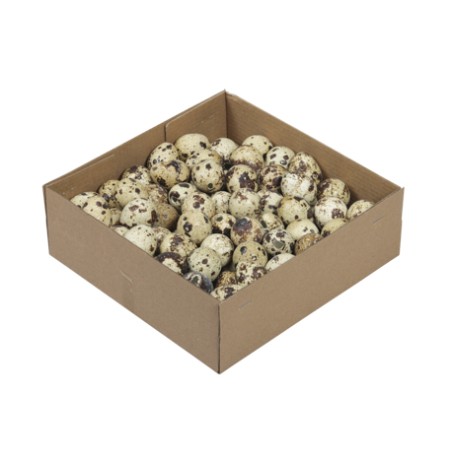 OEUF DE CAILLE 3CM BOITE 100P