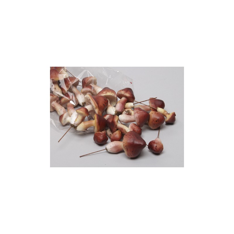 CHAMPIGNON TAILLE ASSORTIE boite de  24P