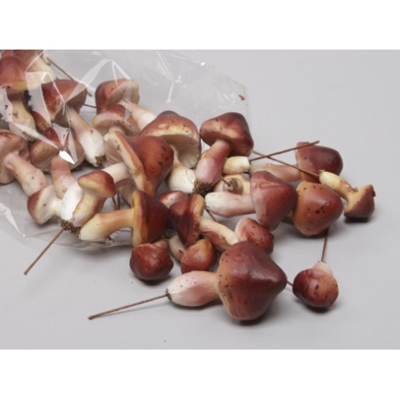 CHAMPIGNON TAILLE ASSORTIE boite de  24P
