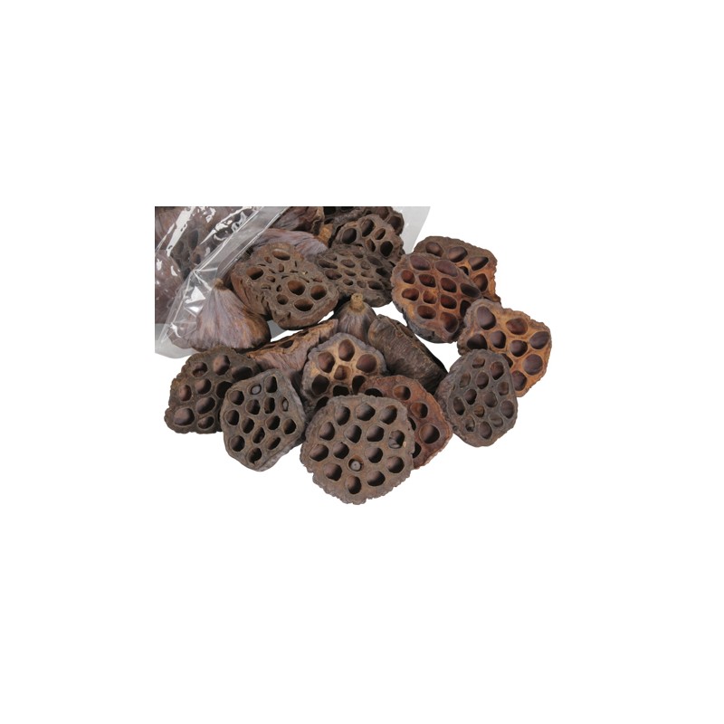 LOTUS médium 6-8CM / 50 PIECES