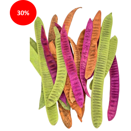 SECHE STEP FRUIT assortiment 20P