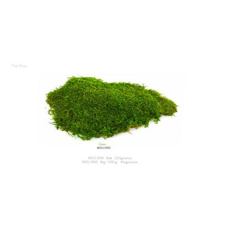 VERDISSIMO-MOUSSE PLATE VERTE sachet 500gr