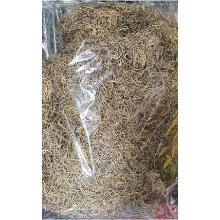 TILLANDSIA NATUREL 500gr