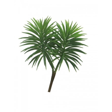 FEUILLE CROSSOSTEPHIUM 18CM à la pièce