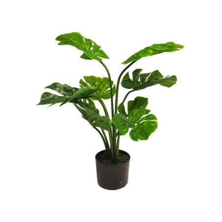 MONSTERA EN POT VERT 68CM à la pièce