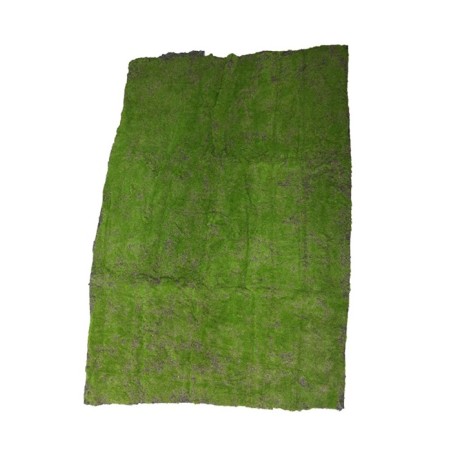 TAPIS DE MOUSSE 100X100 CM à la pièce