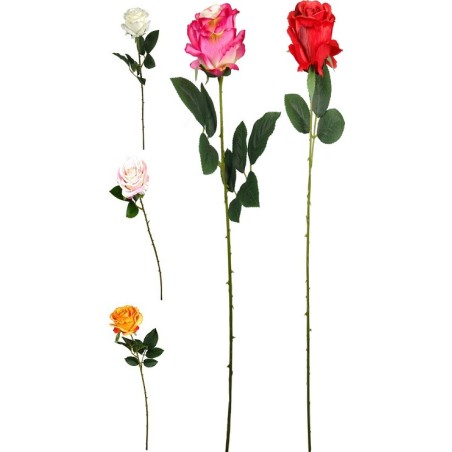 FLEUR ROSE TIGE 65CM ASSORT.les 36P