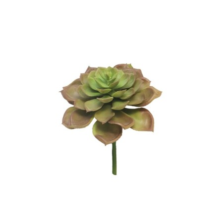 FLEUR EUCHEVERIA GOURIN ROSE 17CM la pièce