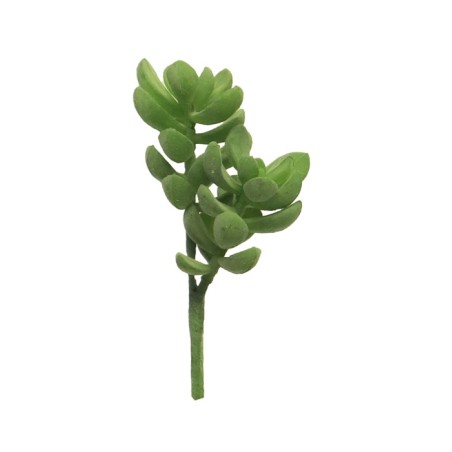 FLEUR SUCCULENT RHODA VERT 14CM à la pièce