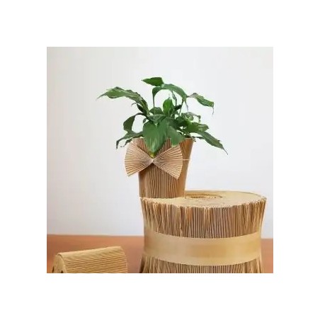 MANCHETTE CACHE-POT KRAFT 145CM les 20M