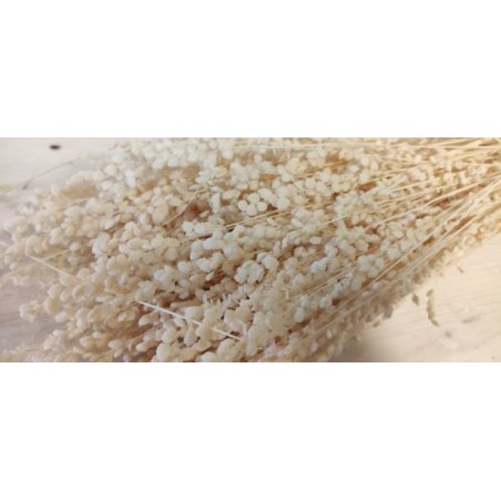 BRIZA MEDIUM BLANC SAC 100GR