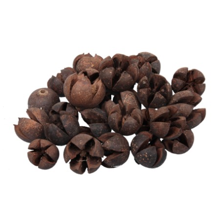 FRUIT SEC CHILERRY les 500GR