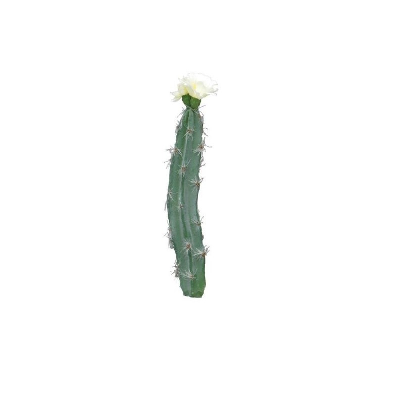 CACTUS FLEUR CREME H23CM à la pièce