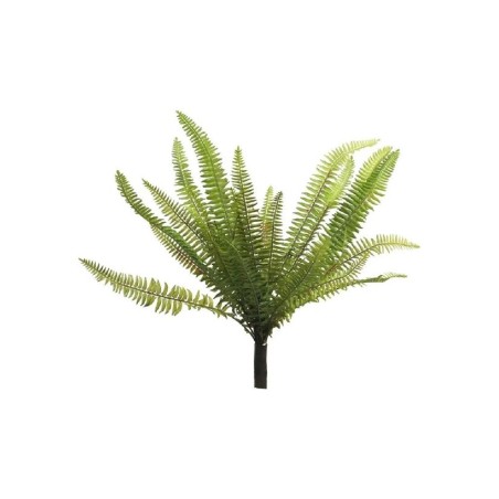 FEUILLE FOUGERE NEPHROLEPSIS H40CM la pièce