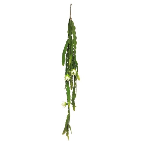 CACTUS FLEUR CREME SUSPENSION 100CM pièce