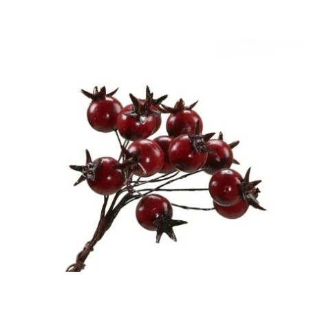 BAIE ROUGE BOUQUET les 6P