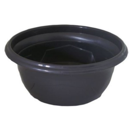 COUPE PLANTE MILLESIA GRISE 032 H13CM le filet de 25P