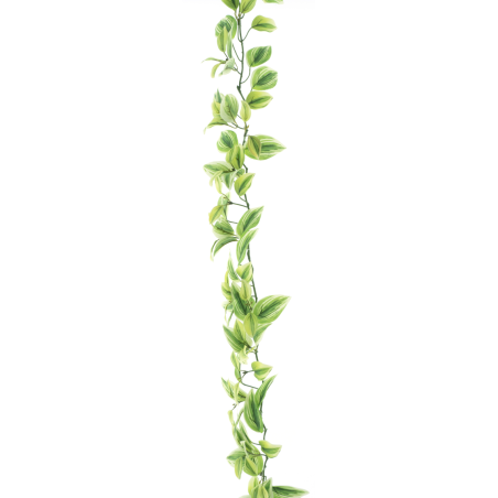 FEUILLE TRADESCATIA VERT/CREME guirlande 170CM /1P