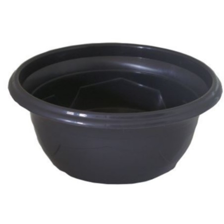 COUPE PLANTE MILLESIA GRISE 041 H14 filet de 25P