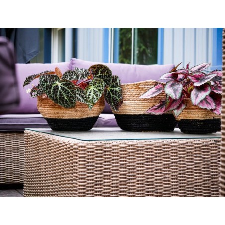 JARDINIERE ANSE 0037 à 027CM SET 3P