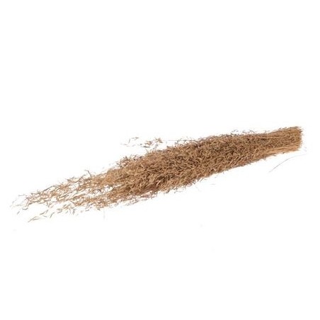 HERBE MUNNI OR SECHE le sachet 100GR