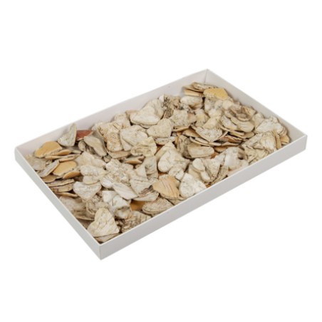 COEUR ECORCE DE BOIS la boite 200P