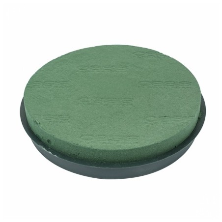 OASIS NAYLOR COUSSIN 030.5cm/ 2 p  8123