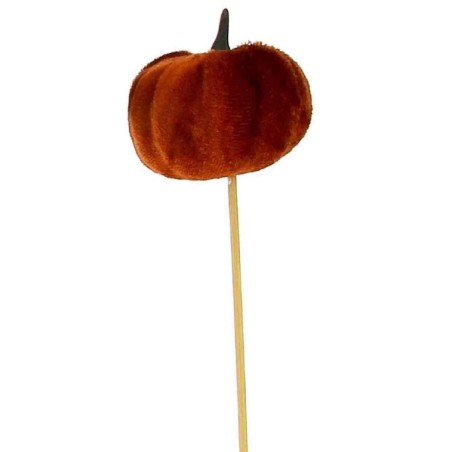 CITROUILLE ORANGE SUR PIQUE les 12P